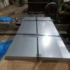 Galvanized Steel Sheet/Plate